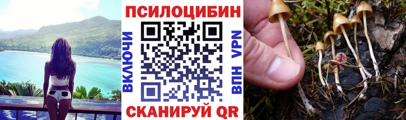 Псилоцибиновые грибы Psilocybe  наркотики  кракен онион  Дедовск 